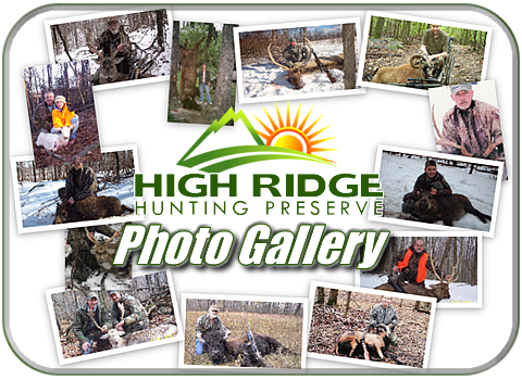 High Ridge Hunting Preserve Photos